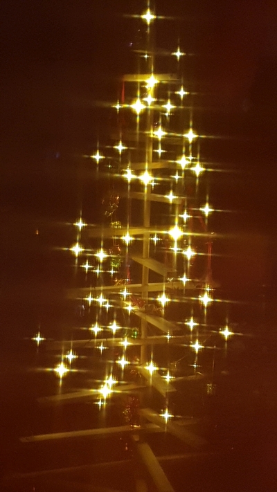 Tannenbaum
